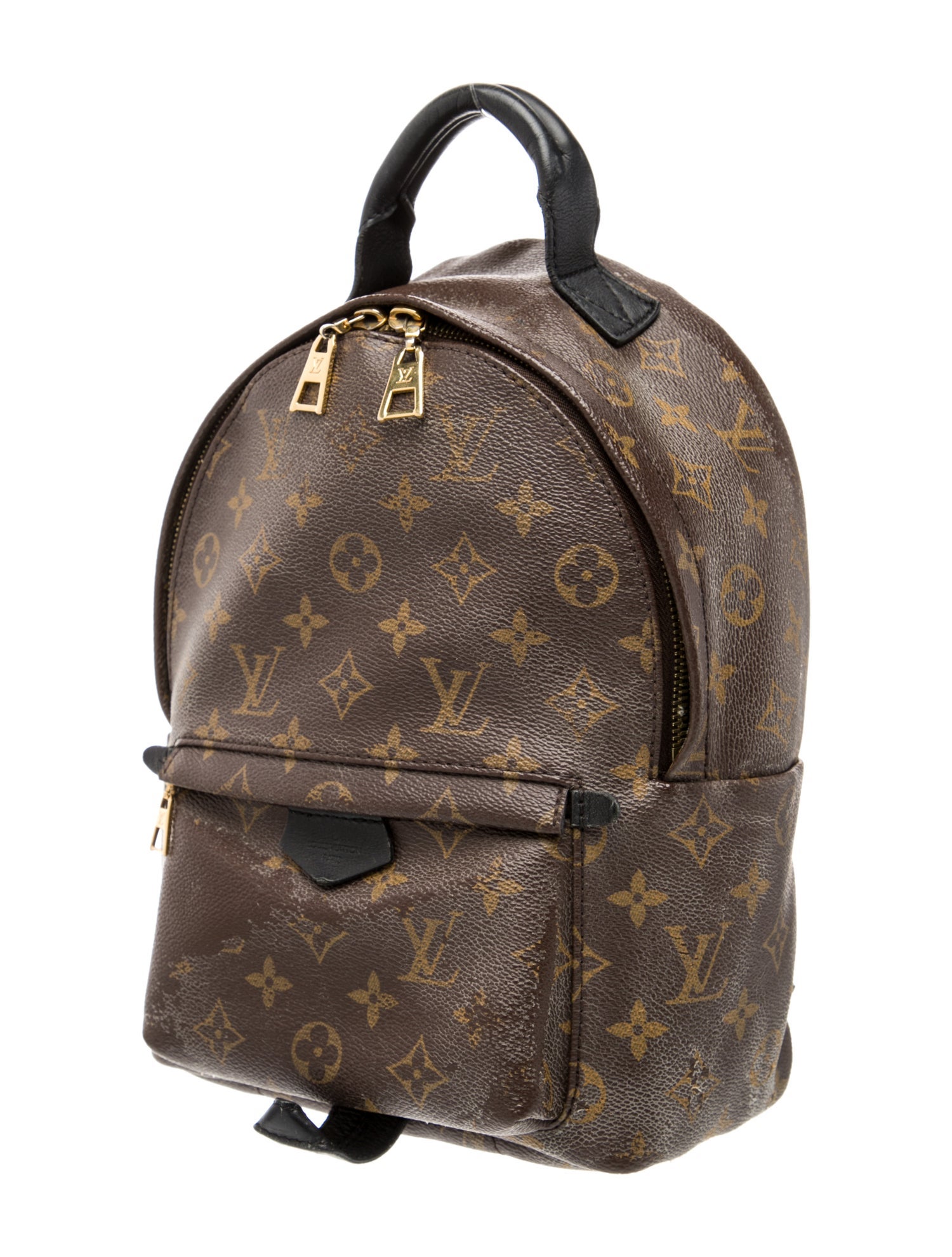 Louis Vuitton LV Monogram Palm Springs PM