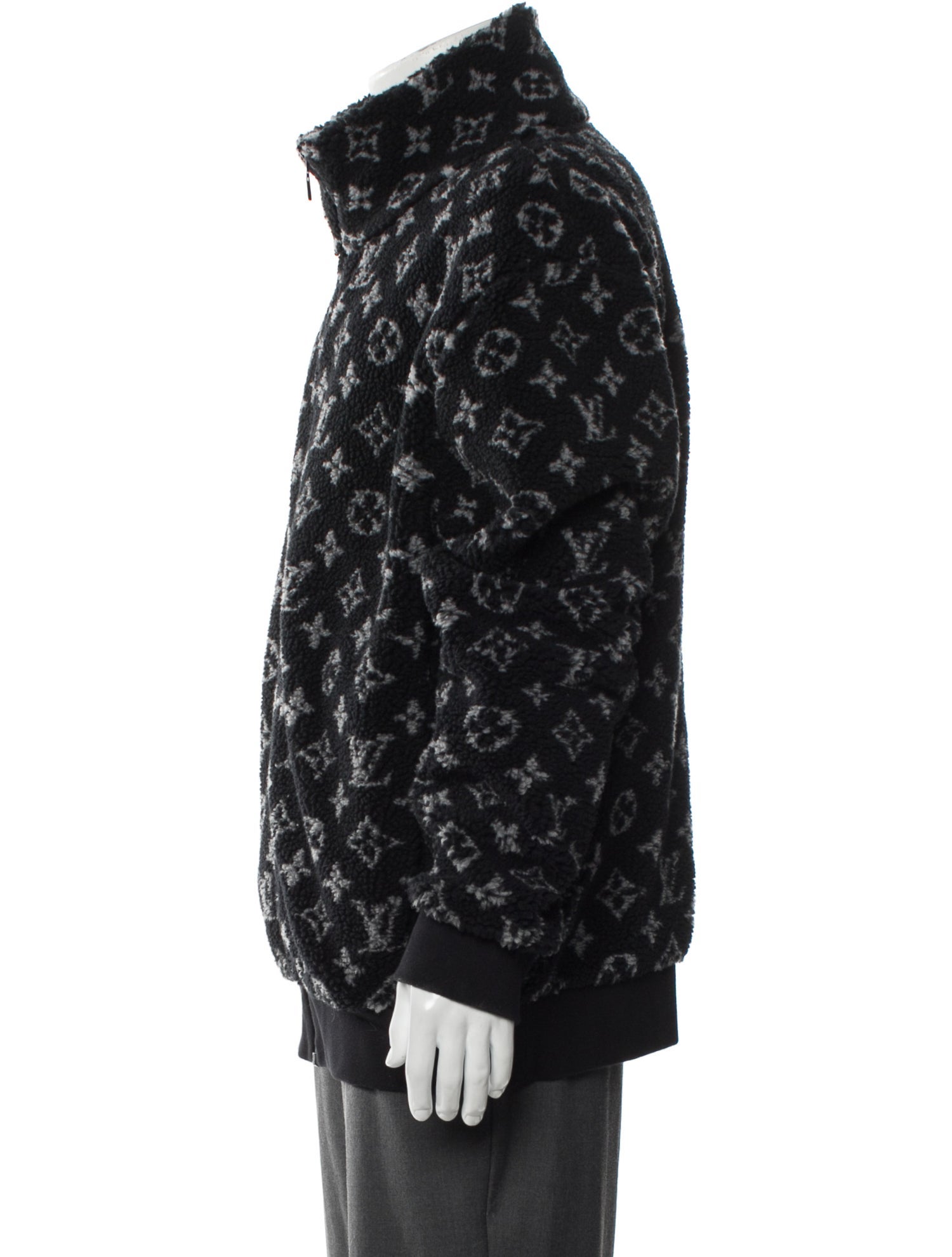 Louis Vuitton 2020 LV Monogram Windbreaker