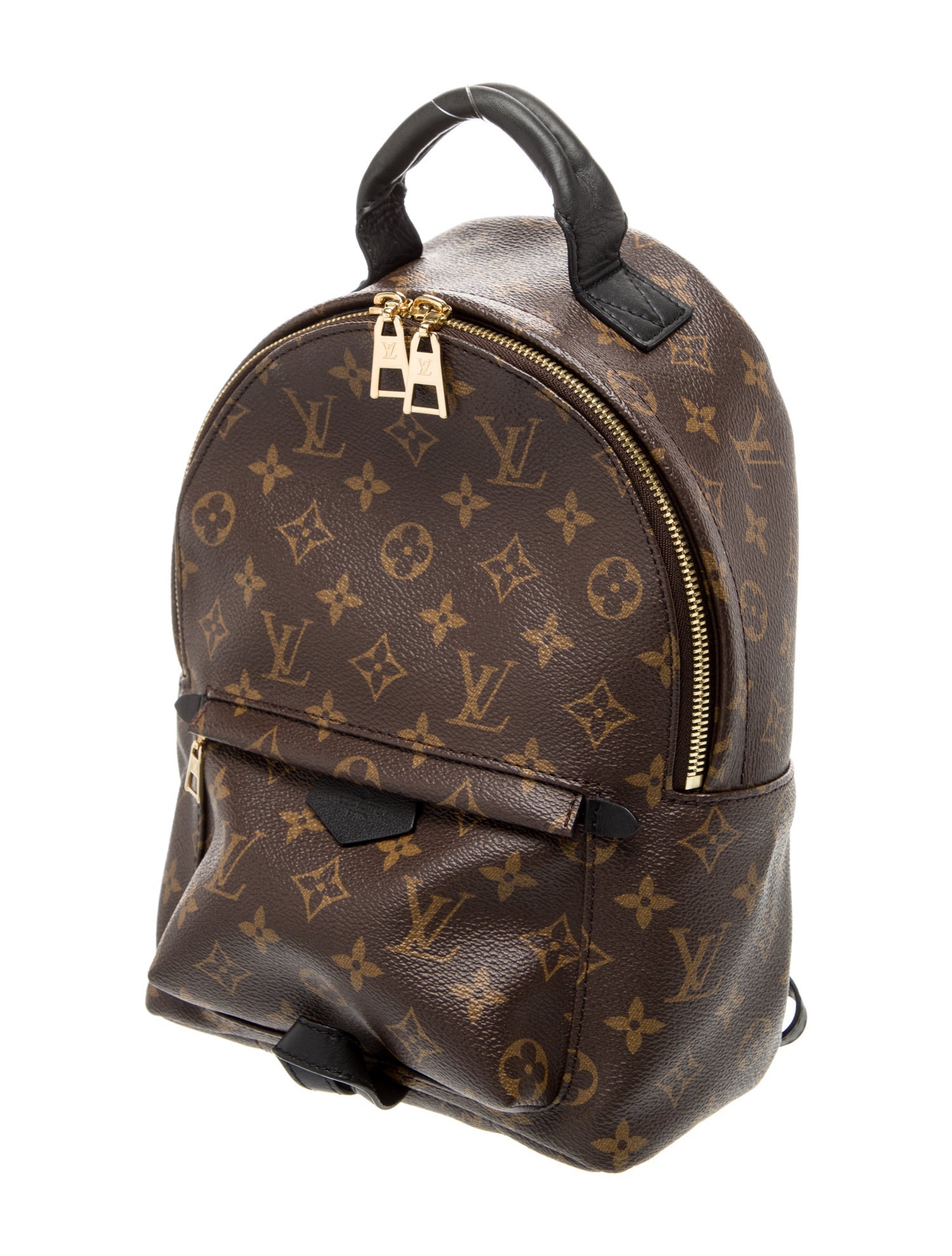 Louis Vuitton LV Monogram Palm Springs PM