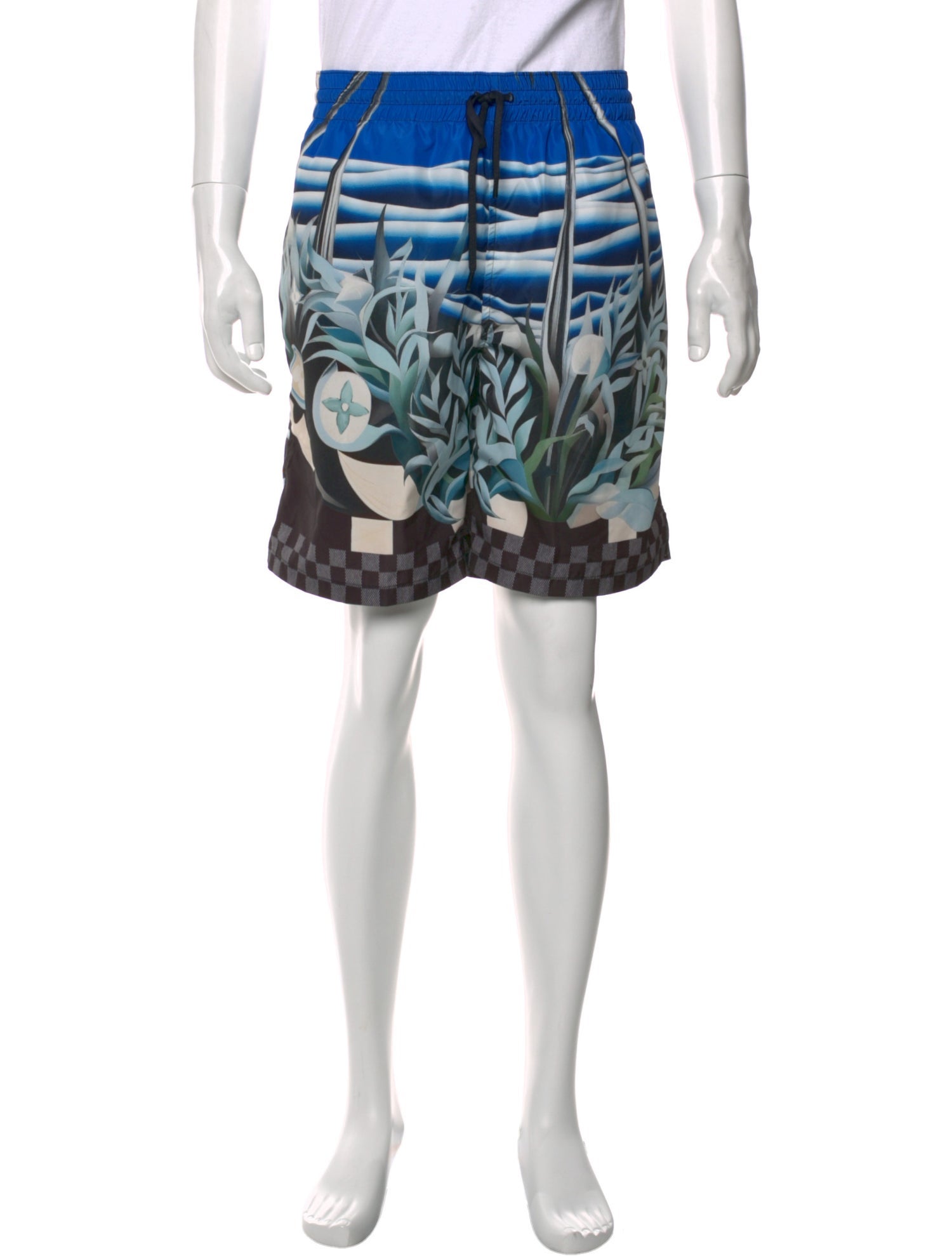 Louis Vuitton 2024 Damier Graphite Pattern Swim Trunks