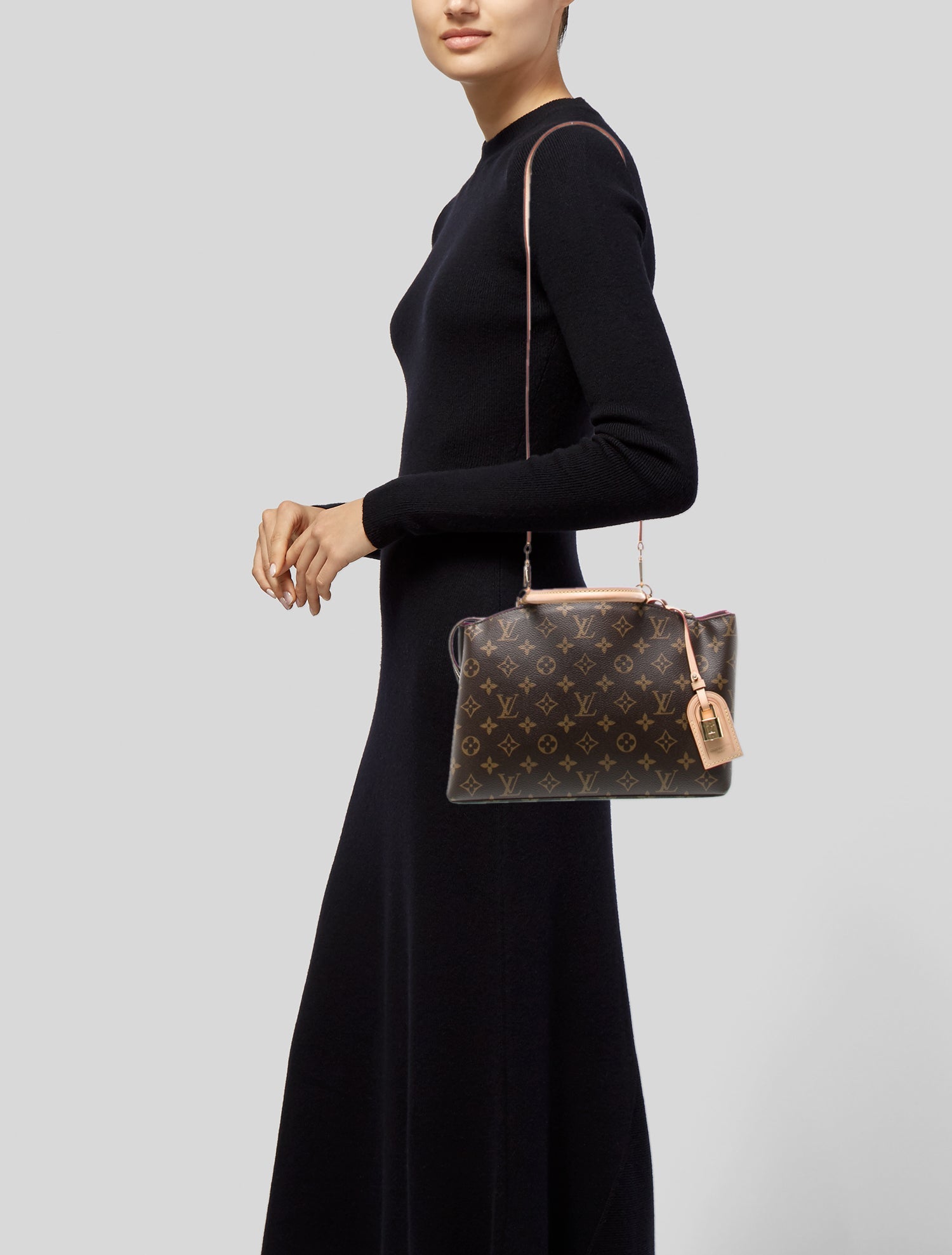 Louis Vuitton LV Monogram Petit Palais