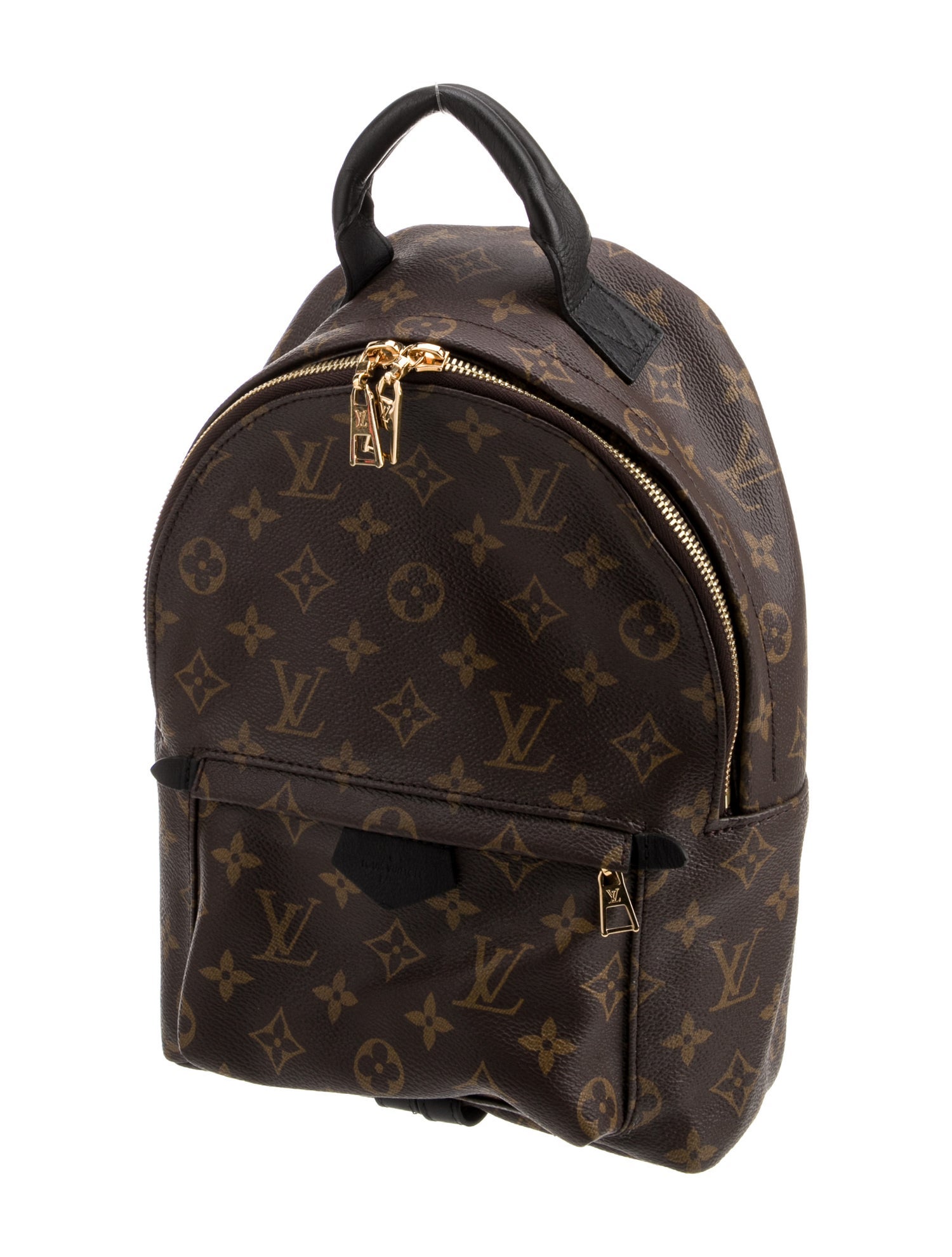 Louis Vuitton LV Monogram Palm Springs PM