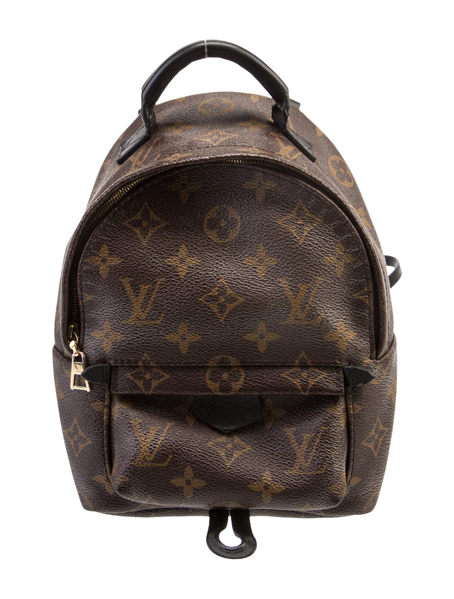 Louis Vuitton LV Monogram Palm Springs Mini