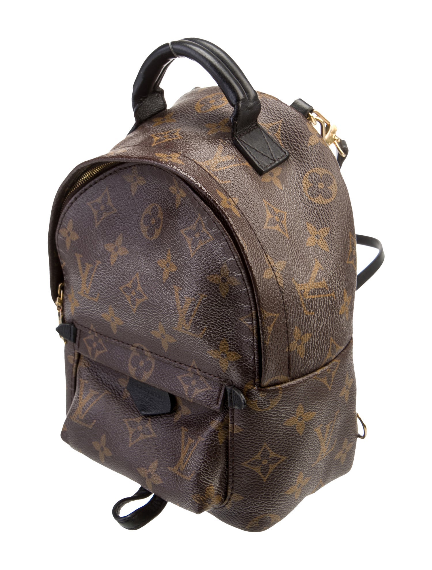Louis Vuitton LV Monogram Palm Springs Mini