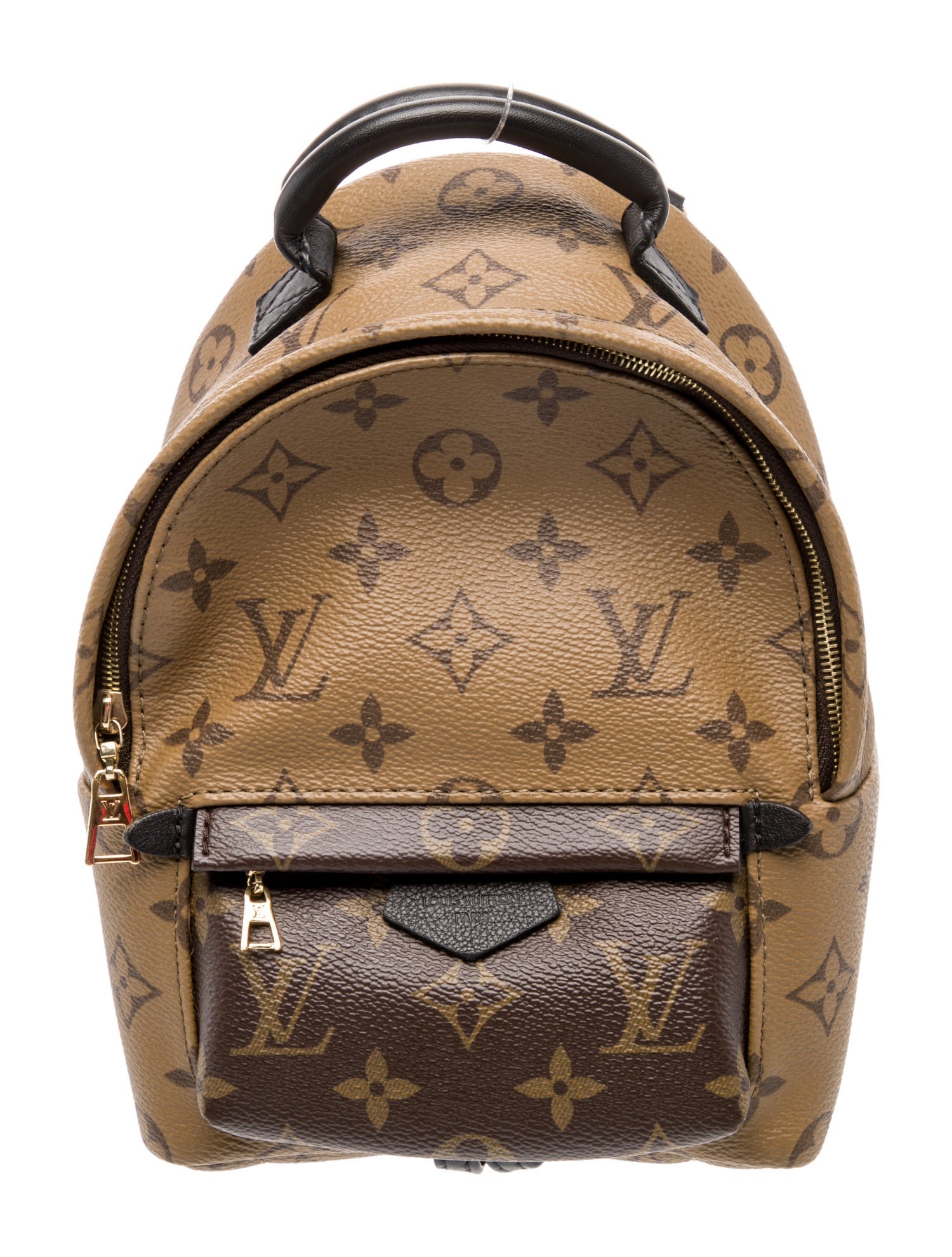 Louis Vuitton LV Monogram Palm Springs Mini