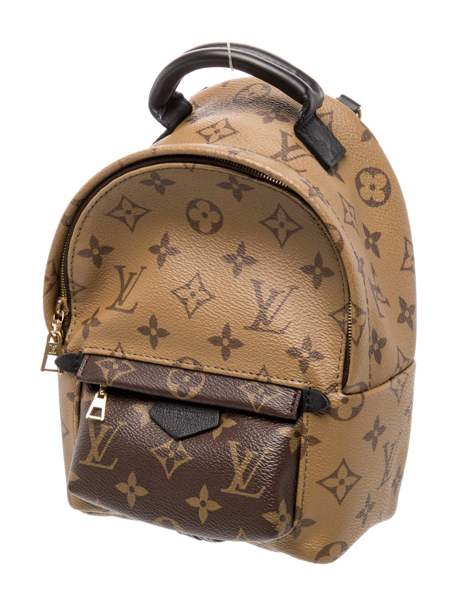 Louis Vuitton LV Monogram Palm Springs Mini