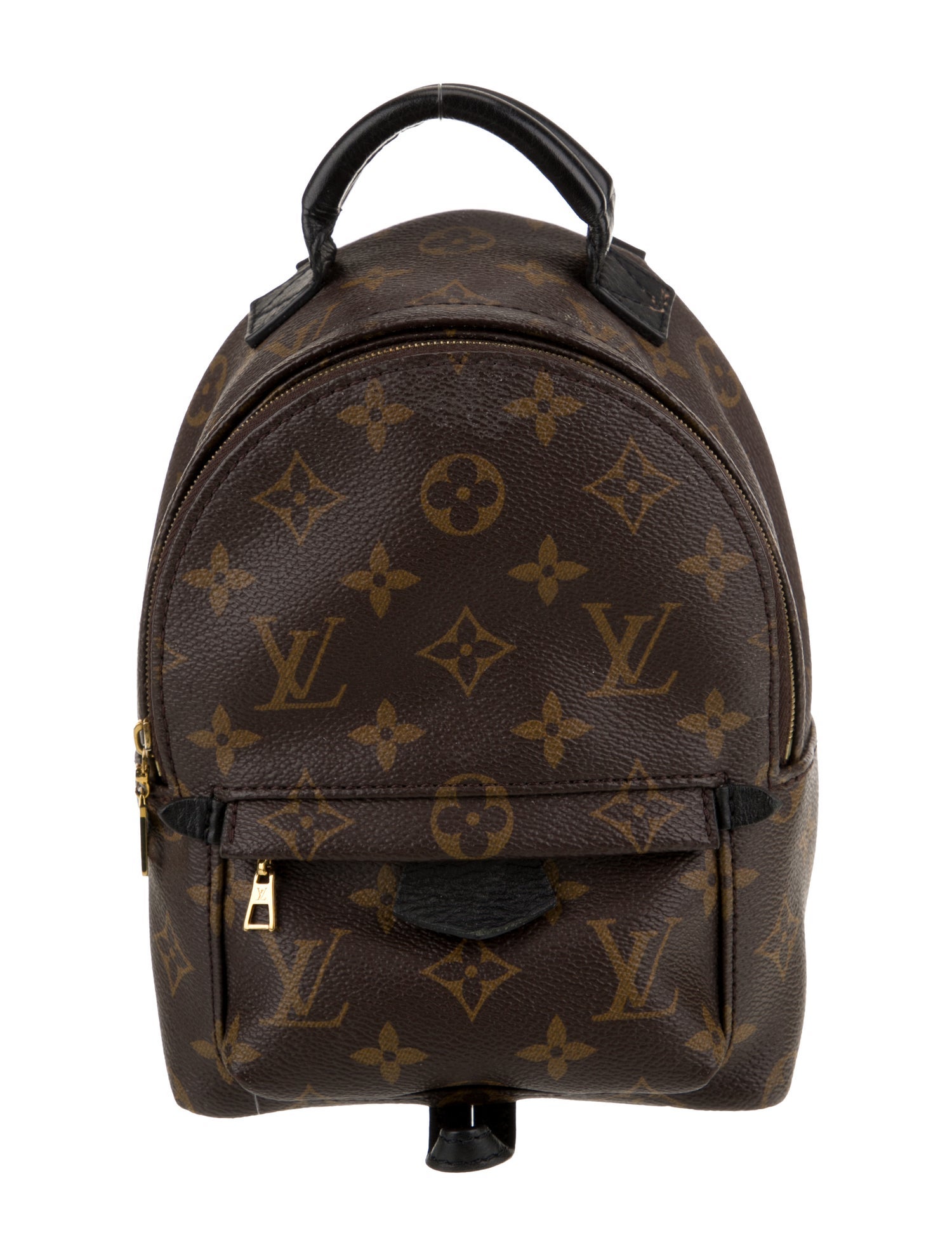 Louis Vuitton LV Monogram Palm Springs Mini