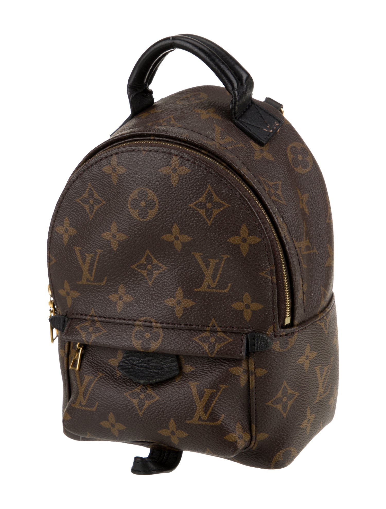 Louis Vuitton LV Monogram Palm Springs Mini