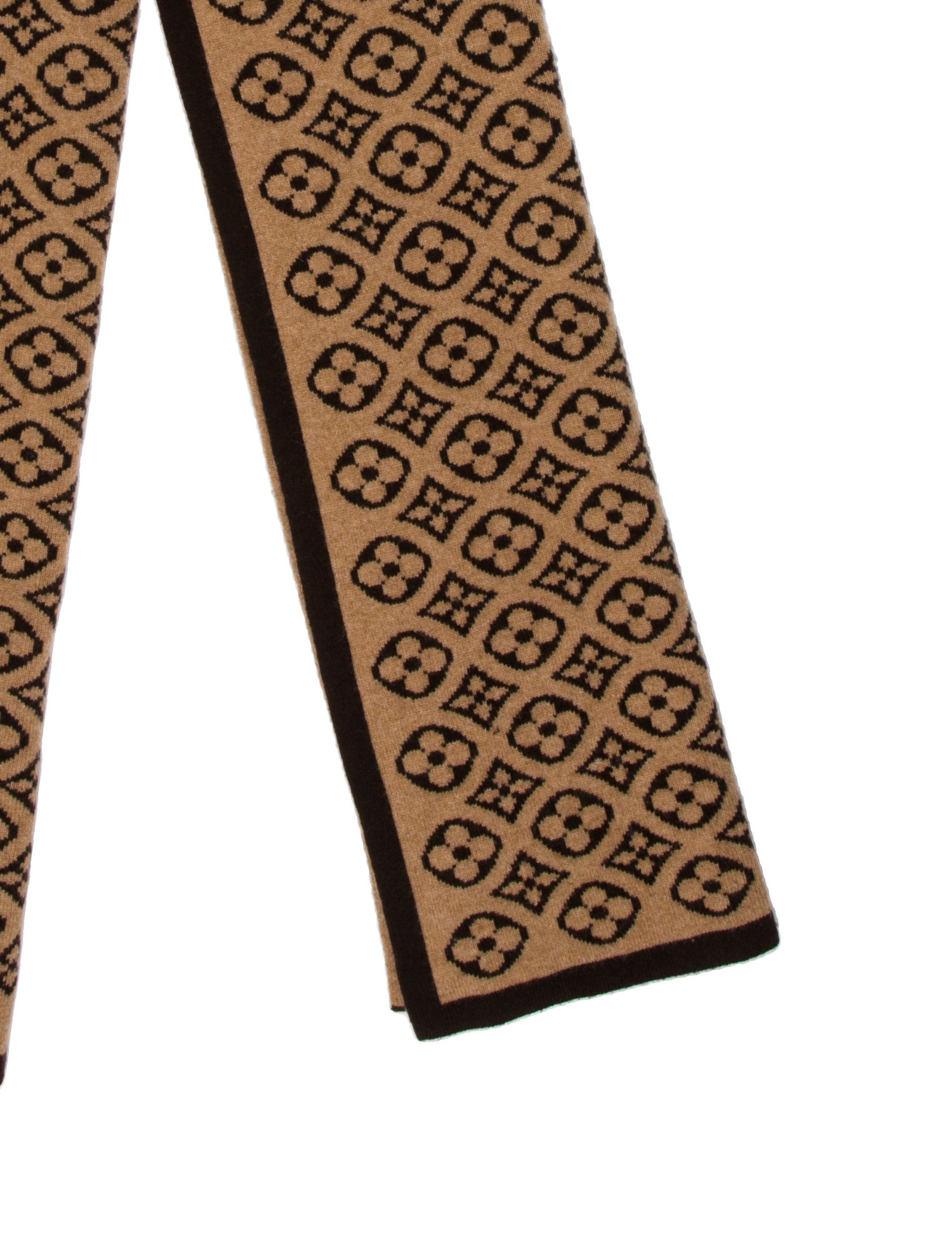 Louis Vuitton Cashmere Printed Scarf