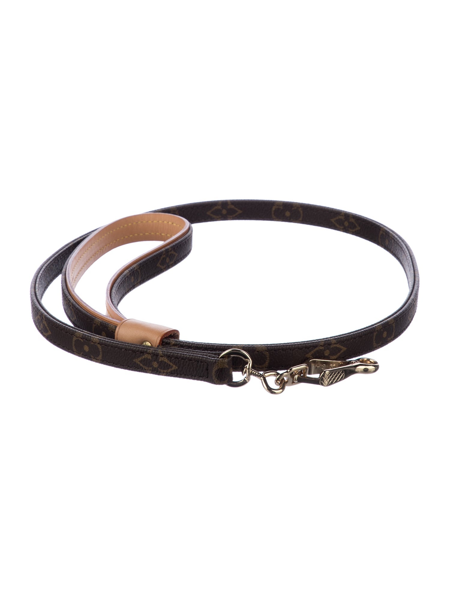 Louis Vuitton Monogram Baxter MM Dog Leash