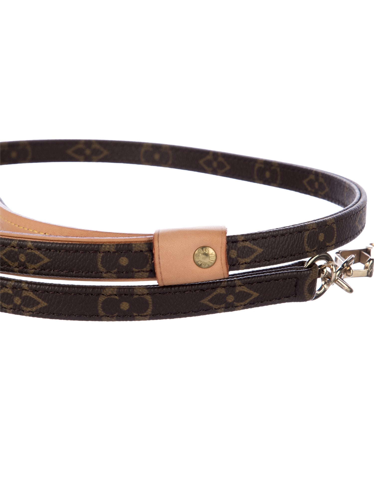Louis Vuitton Monogram Baxter MM Dog Leash