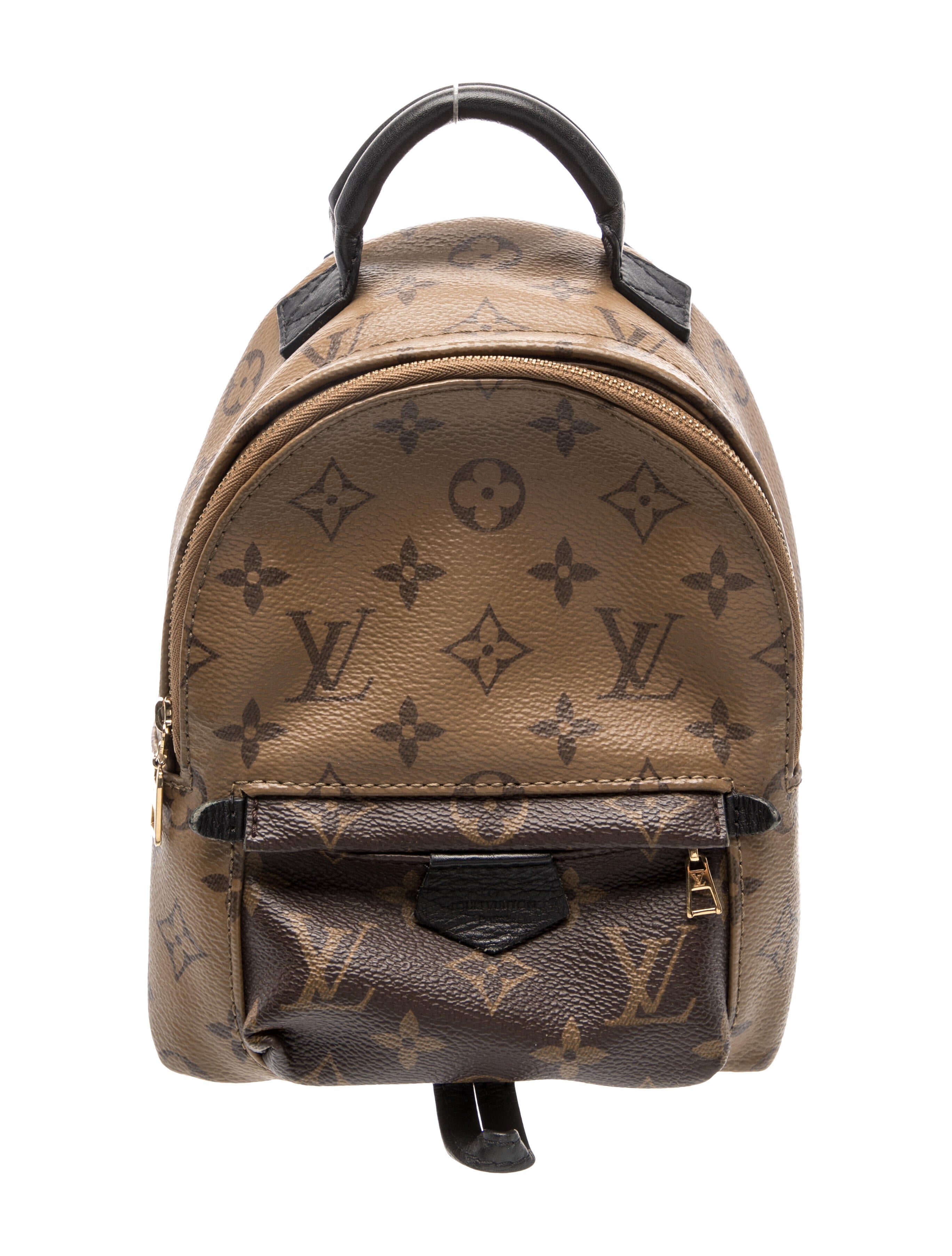 Louis Vuitton LV Monogram Palm Springs Mini