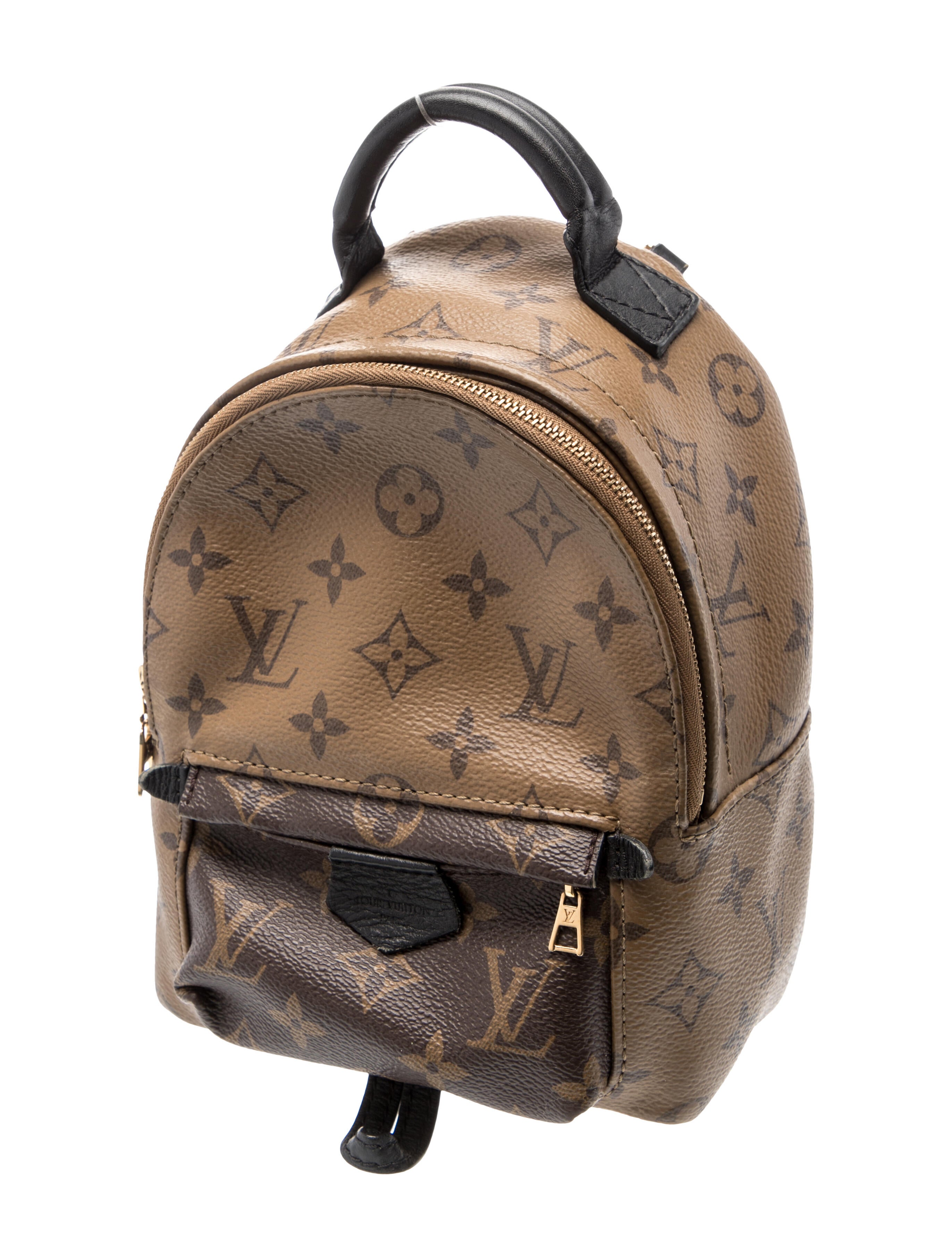 Louis Vuitton LV Monogram Palm Springs Mini