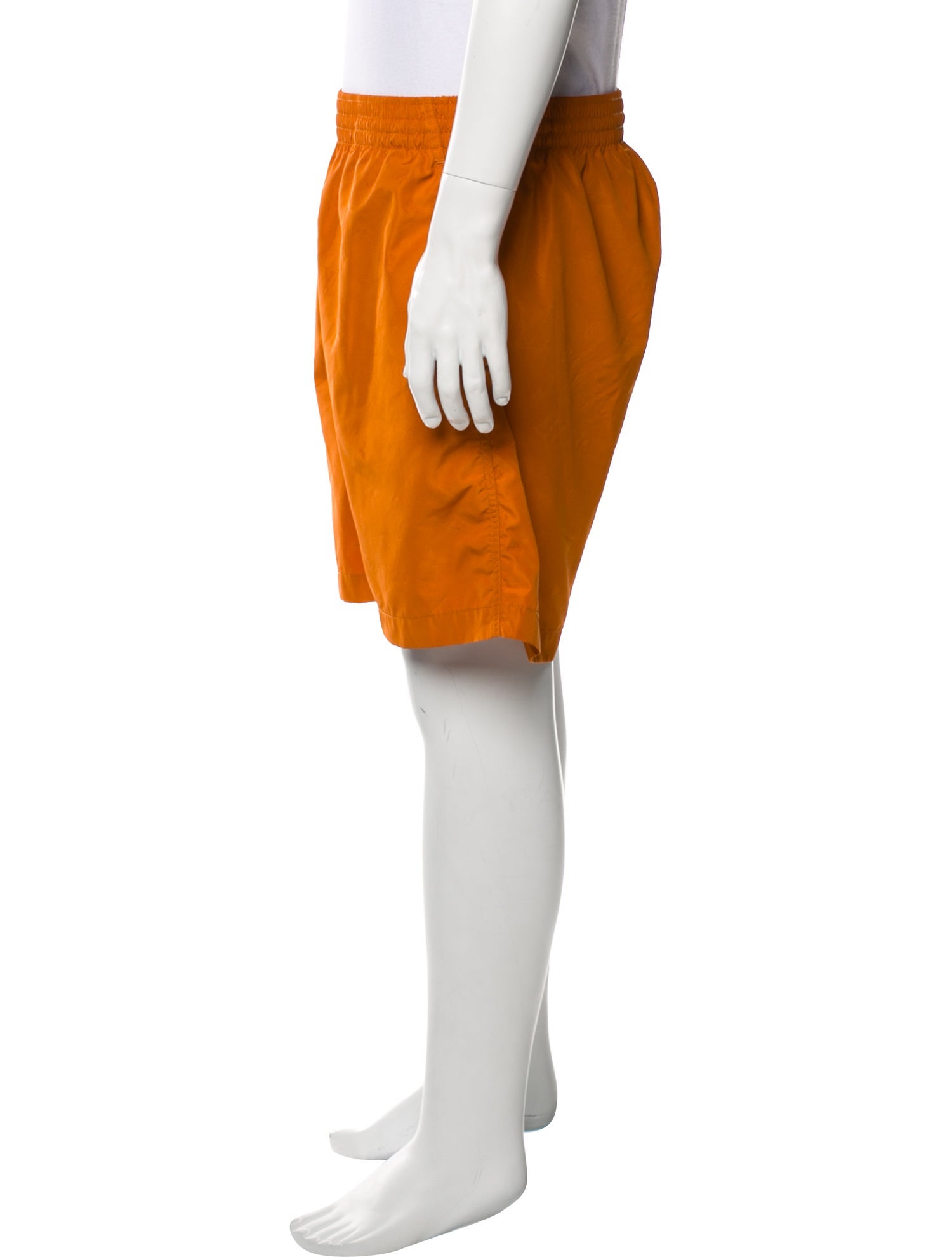 Louis Vuitton 2024 LV Monogram Swim Trunks