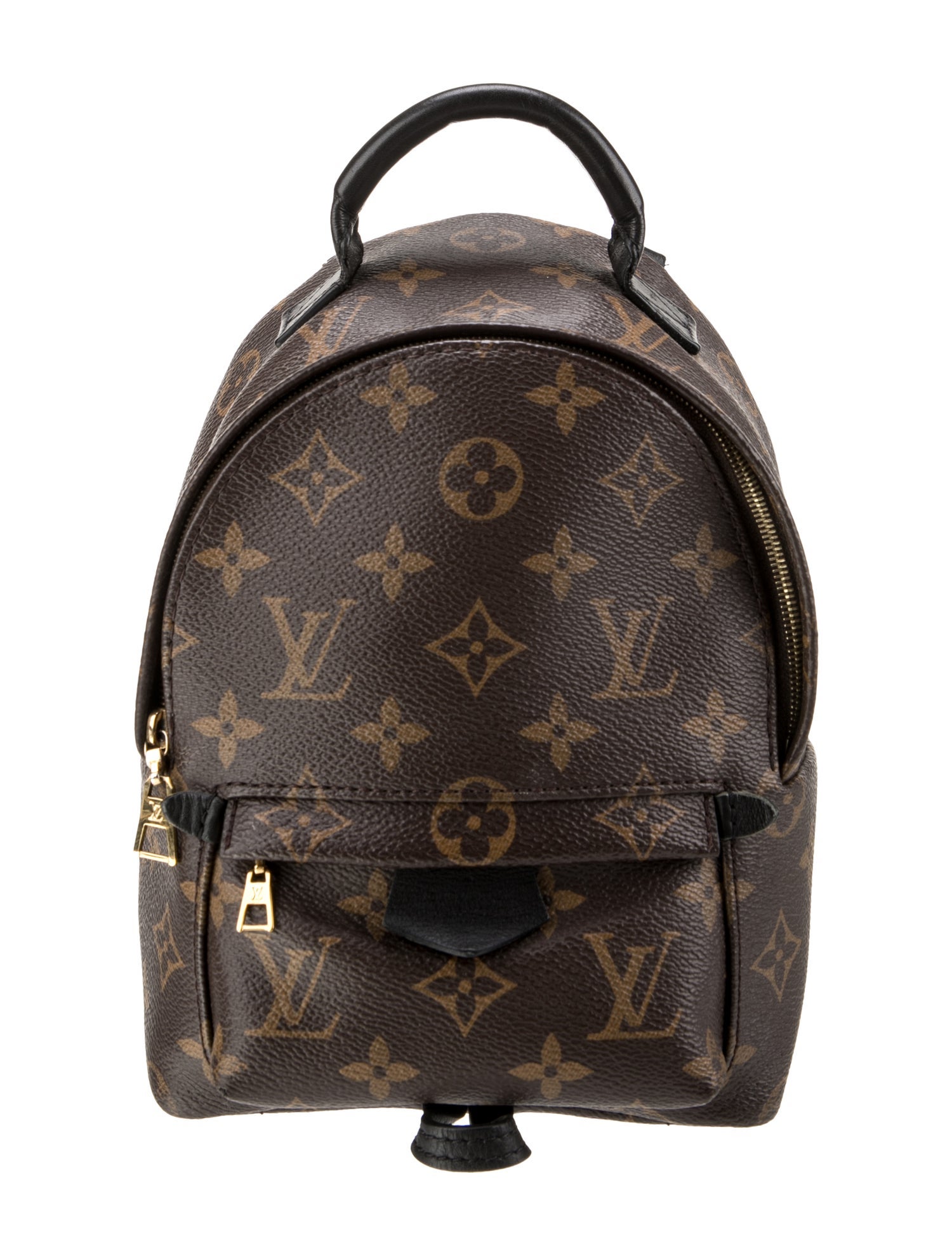 Louis Vuitton LV Monogram Palm Springs Mini