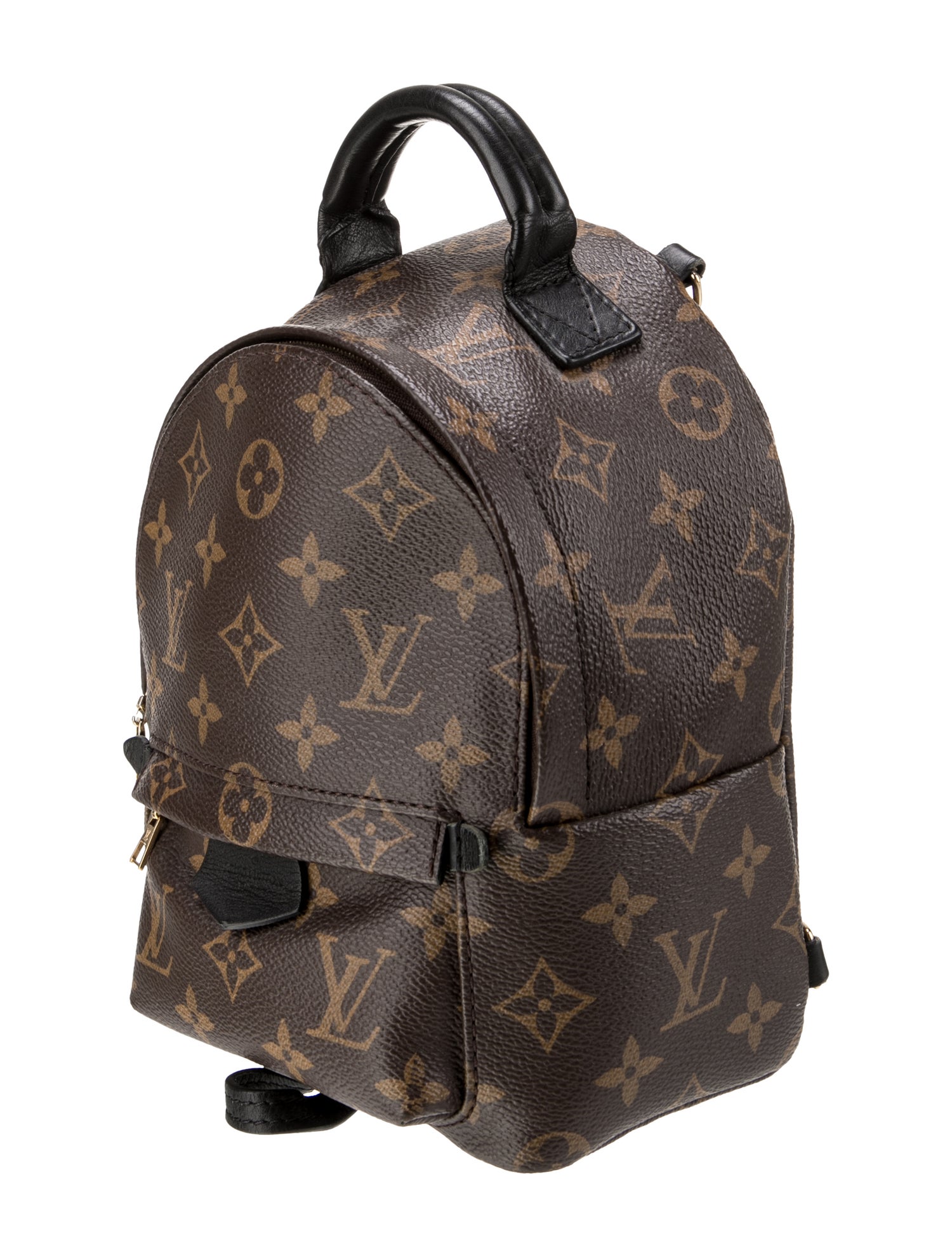 Louis Vuitton LV Monogram Palm Springs Mini