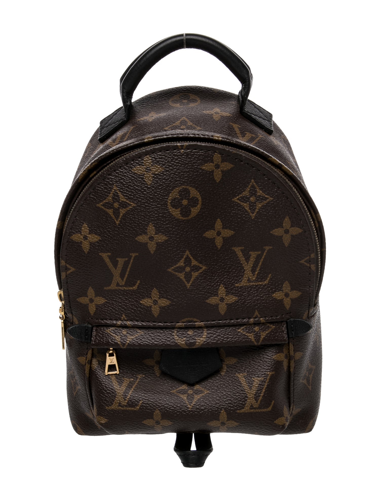 Louis Vuitton LV Monogram Palm Springs Mini