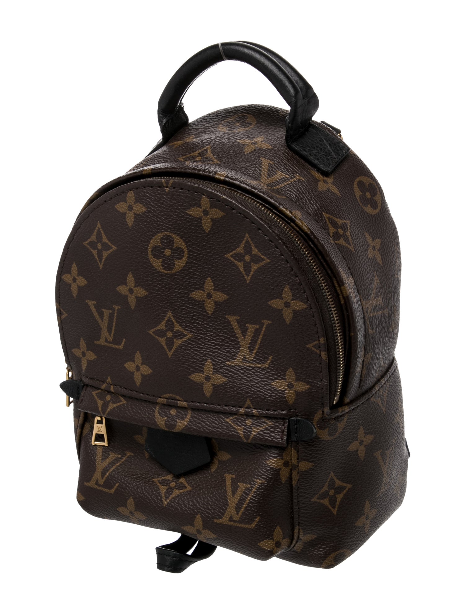 Louis Vuitton LV Monogram Palm Springs Mini