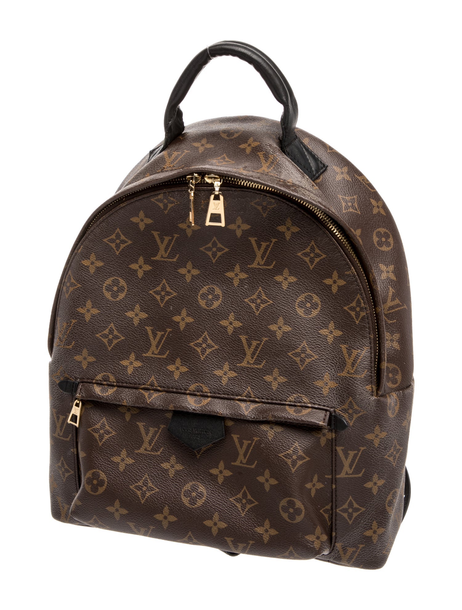 Louis Vuitton LV Monogram Palm Springs