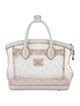 Louis Vuitton Monogram Transparence Lockit Bag