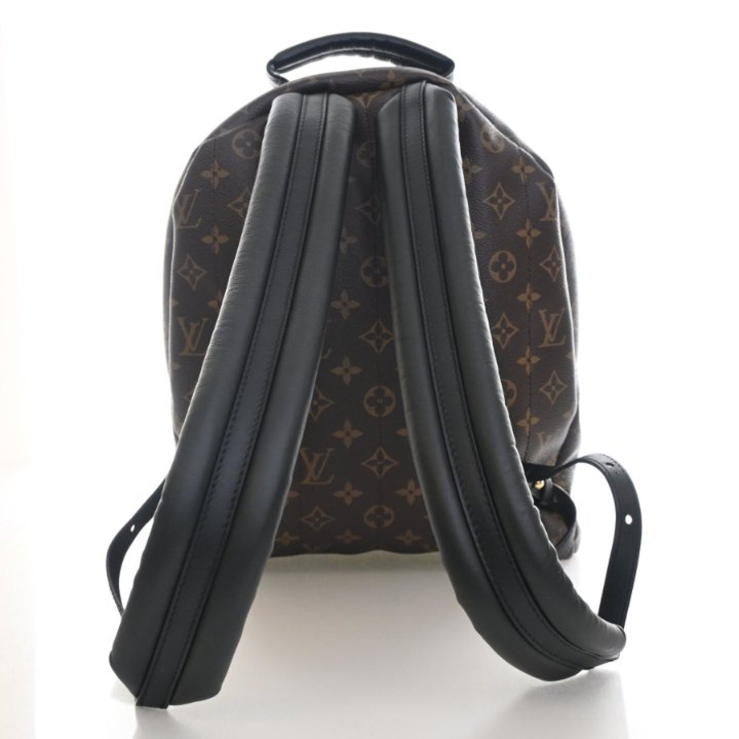 Louis Vuitton Coated Canvas Monogram Palm Springs MM
