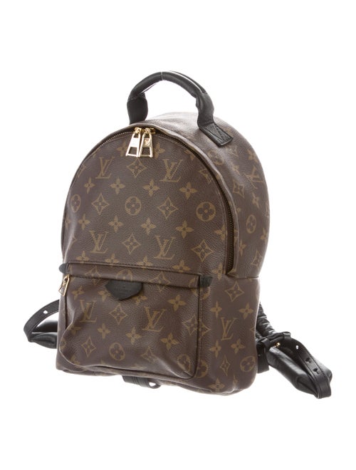 Louis Vuitton 2018 Monogram Palm Springs PM