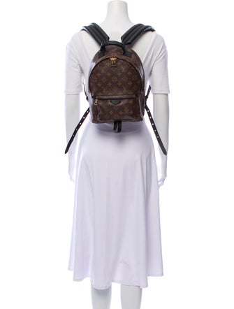 Louis Vuitton 2018 Monogram Palm Springs PM