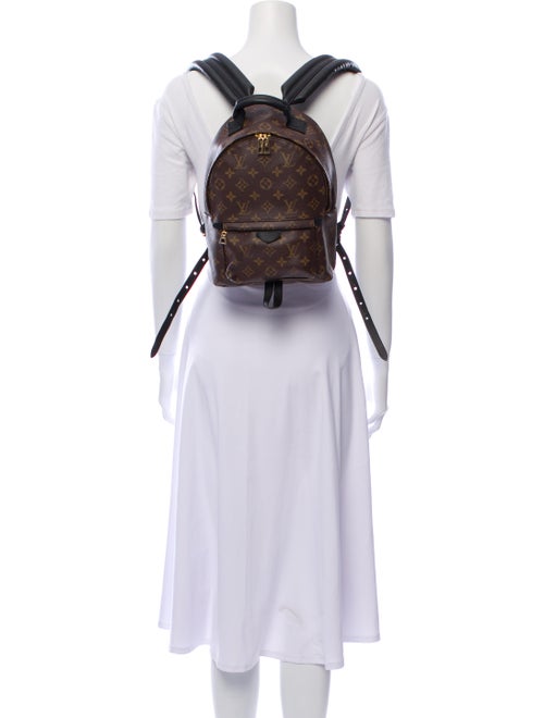 Louis Vuitton 2018 Monogram Palm Springs PM