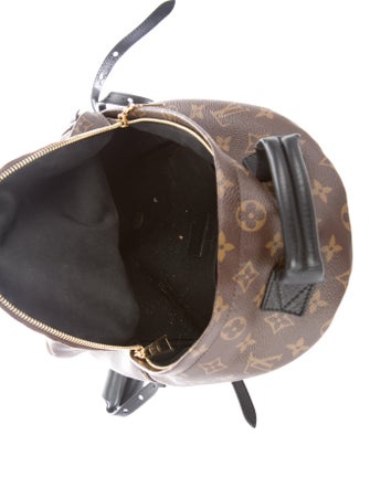 Louis Vuitton 2018 Monogram Palm Springs PM