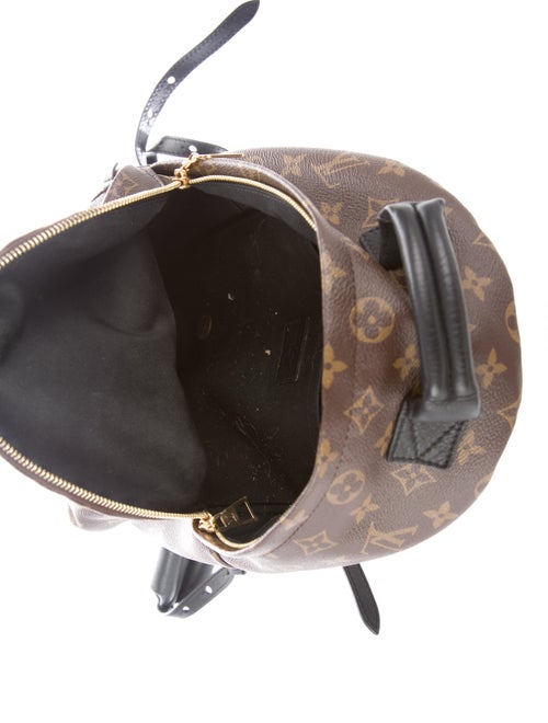 Louis Vuitton 2018 Monogram Palm Springs PM