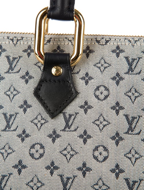 Louis Vuitton Mini Lin Alma Long