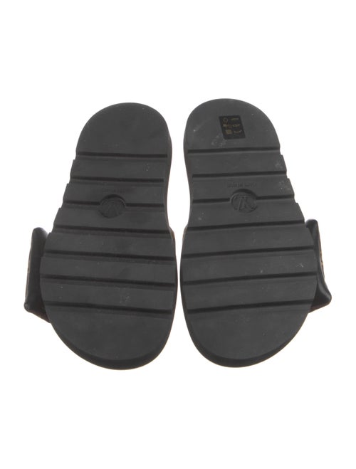 Louis Vuitton Pool Pillow Comfort LV Monogram Slides
