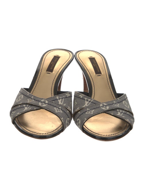 Louis Vuitton Canvas Printed Slides