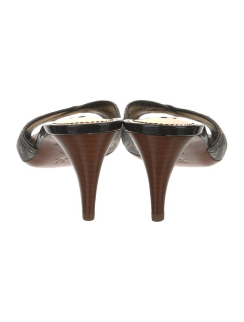 Louis Vuitton Canvas Printed Slides