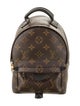 Louis Vuitton Palm Springs Mini