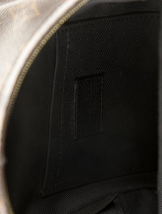 Louis Vuitton Palm Springs Mini