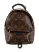 Louis Vuitton Mini Monogram Palm Springs Backpack