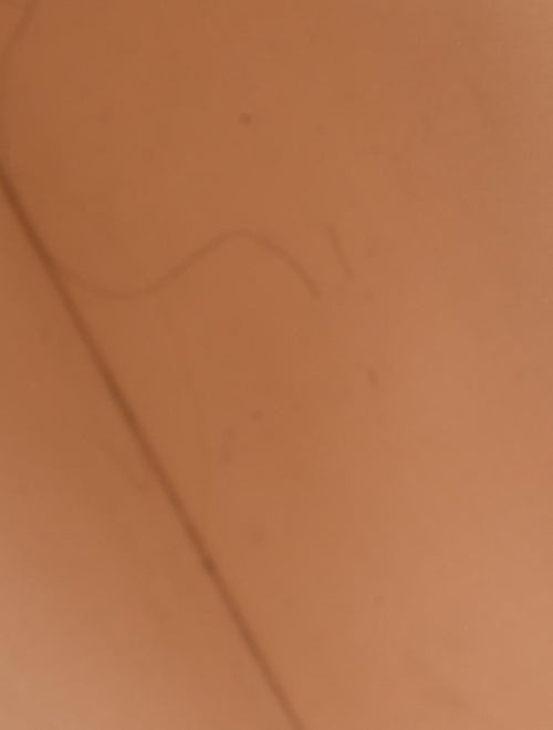 Louis Vuitton Mini Lin Francoise Bag