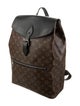 Louis Vuitton Monogram Macassar Palk Backpack