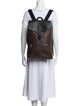 Louis Vuitton Monogram Macassar Palk Backpack
