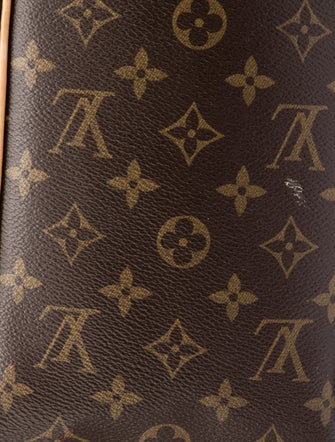 Louis Vuitton Monogram Delightful MM