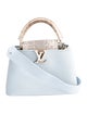 Louis Vuitton Taurillon Capucines BB