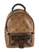 Louis Vuitton Reverse Monogram Mini Palm Springs