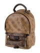 Louis Vuitton Reverse Monogram Mini Palm Springs