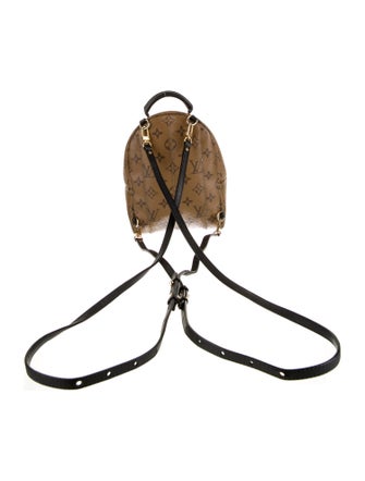 Louis Vuitton Reverse Monogram Mini Palm Springs