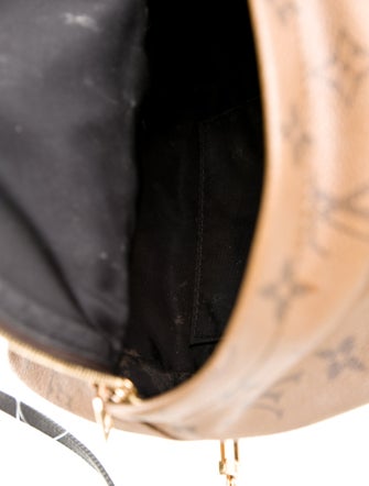 Louis Vuitton Reverse Monogram Mini Palm Springs