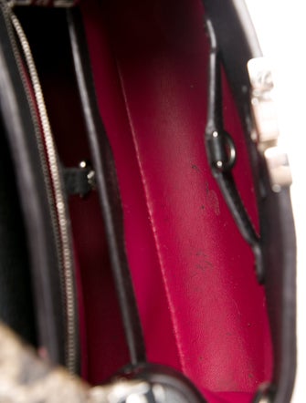 Louis Vuitton Python Trim Taurillon Capucines BB