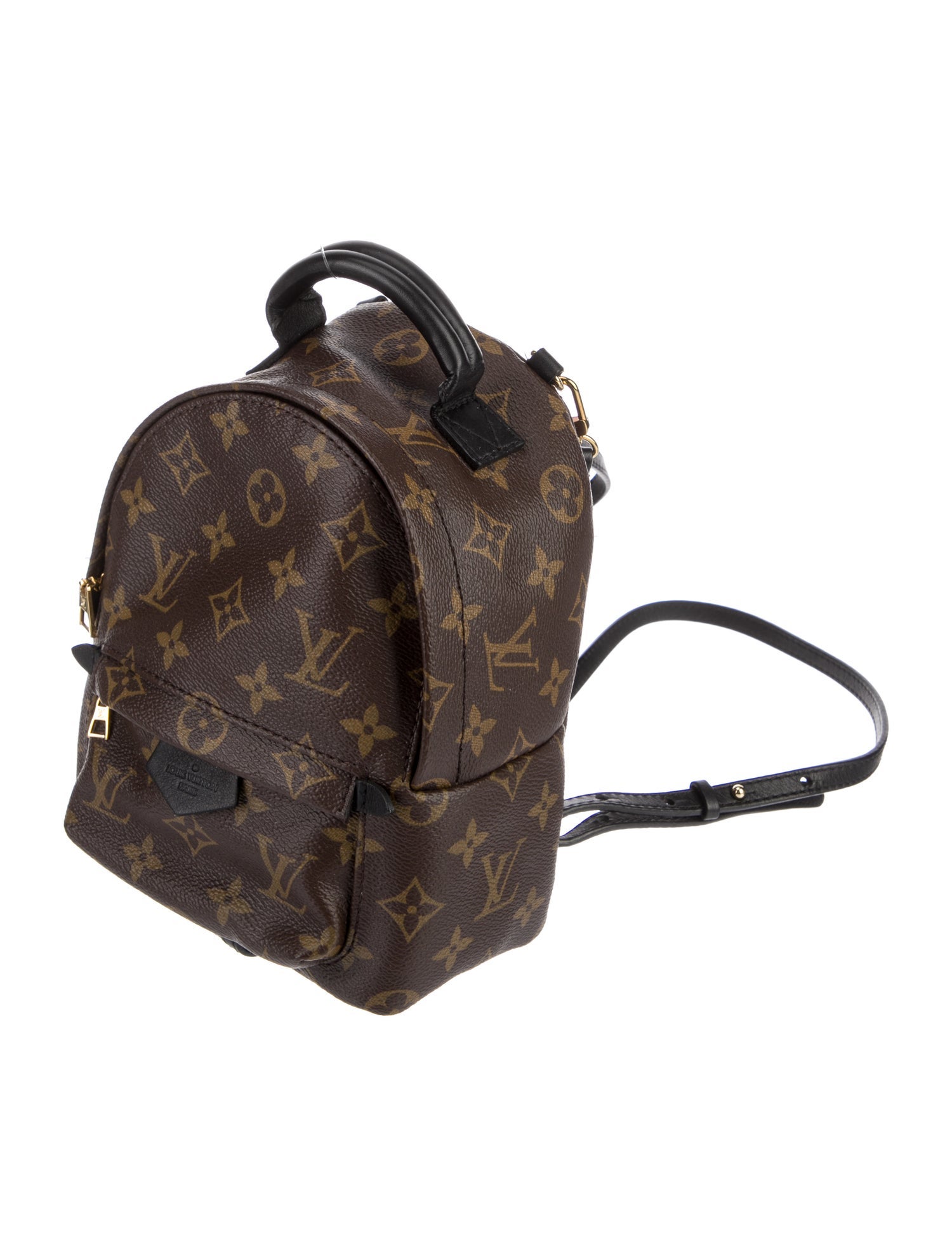 Louis Vuitton Monogram Mini Palm Springs