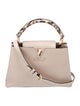Louis Vuitton Python-Trimmed Taurillon Capucines PM