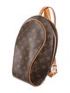 Louis Vuitton Coated Canvas Ellipse